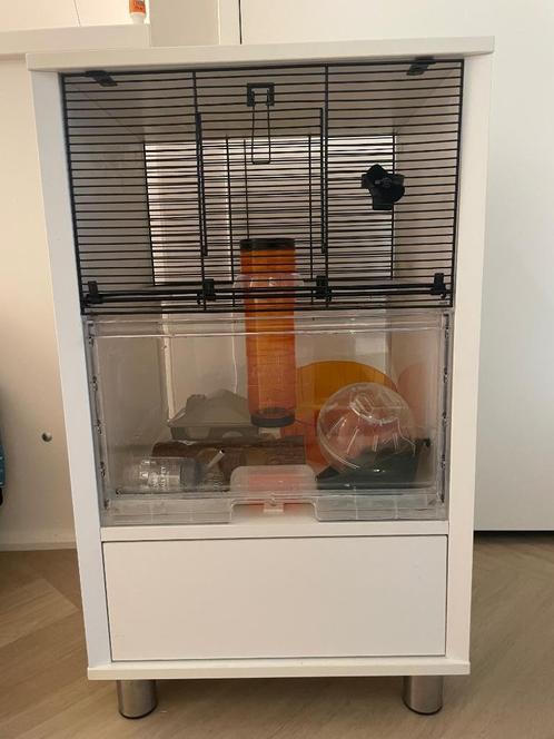 Kooi hamster / dwerghamster met accesoires, Dieren en Toebehoren, Knaagdieren en Konijnen | Hokken en Kooien, Zo goed als nieuw
