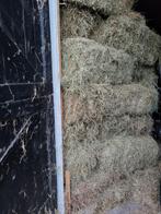 hooibalen, Dieren en Toebehoren, Ophalen, Vee