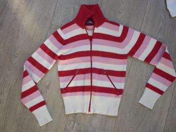 Vest (S) Sutherland  beschikbaar voor biedingen