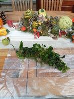 Anabis, Ophalen, Nieuw, Plant(en), Steen of Hout