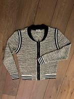 Vest van Anna van Toor maat 40, Verzenden, Zo goed als nieuw, Maat 38/40 (M)
