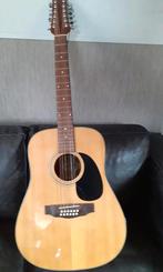 Motion 12-snarige gitaar, Muziek en Instrumenten, Snaarinstrumenten | Gitaren | Akoestisch, Ophalen, Zo goed als nieuw, Western- of Steelstringgitaar