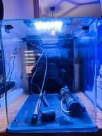 Blue marine 60 met meubel, Dieren en Toebehoren, Ophalen, Gebruikt, Leeg aquarium