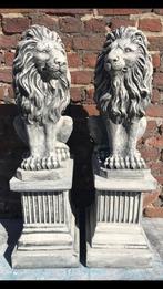 ‼️Löwe 74kg leeuw paar leeuw paar tijger leeuwen kat Stall‼️, Tuin en Terras, Tuinbeelden, Ophalen, Nieuw, Beton, Dierenbeeld