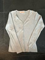 Licht grijs vestje met knopen van Anny L/XL, Kleding | Dames, Truien en Vesten, Ophalen of Verzenden, Zo goed als nieuw, Maat 42/44 (L)