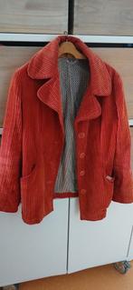 Heel mooi  oranje rib jasje voor de herfst Miss Sixty S, Kleding | Dames, Miss Sixty, Oranje, Ophalen of Verzenden, Zo goed als nieuw