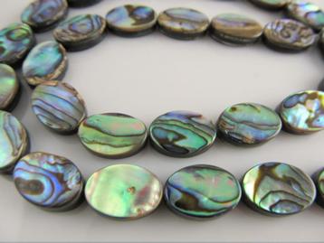 Abalone kraal ovaal circa 14x10 mm beschikbaar voor biedingen