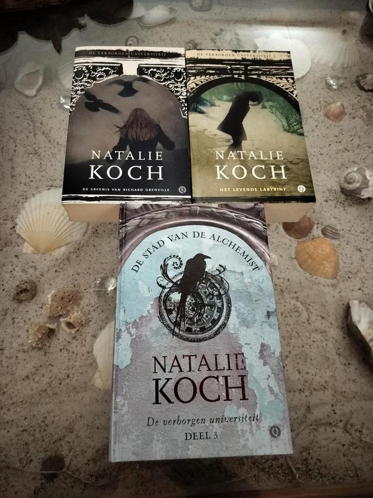 Natalie Koch - De verborgen universiteit, Boeken, Fantasy, Gelezen, Ophalen of Verzenden