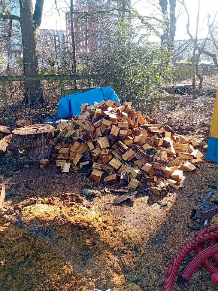 Gekloofd haardhout, acacia , beuk , eik , iep, Tuin en Terras, Haardhout, 6 m³ of meer, Ophalen of Verzenden