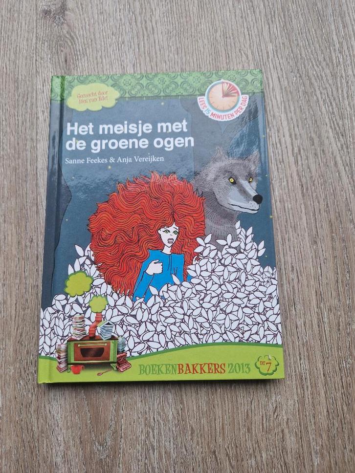 Het meisje met de groene ogen, Boeken, Kinderboeken | Jeugd | onder 10 jaar, Nieuw, Fictie algemeen, Ophalen of Verzenden