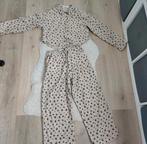 Zara set 158/164, Kinderen en Baby's, Ophalen of Verzenden, Zo goed als nieuw, Meisje