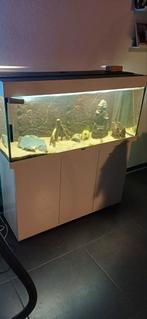Aquarium Juwel, Dieren en Toebehoren, Vissen | Aquaria en Toebehoren, Ophalen of Verzenden, Zo goed als nieuw, Leeg aquarium