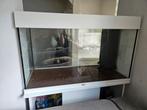 JUWEL RIO 125 WIT, Ophalen, Gebruikt, Leeg aquarium