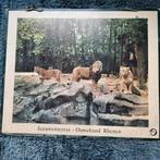 2 schoolplaten Ouwehand dierentuin Rhenen, Ophalen of Verzenden, Natuur en Biologie