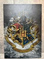 Harry Potter metalen schilderij poster display, Ophalen of Verzenden, Boek of Poster