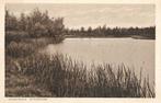 Groningen- -Stadspark., Verzenden, 1920 tot 1940, Ongelopen, Groningen