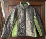 Groene winterjas; 40; gin tonic women, damesjas, warm jack, Ophalen of Verzenden, Zo goed als nieuw, Maat 38/40 (M), Groen