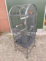 Vogelkooi kooi papagaaien kooi, Dieren en Toebehoren, Ophalen, Gebruikt, Metaal, Vogelkooi