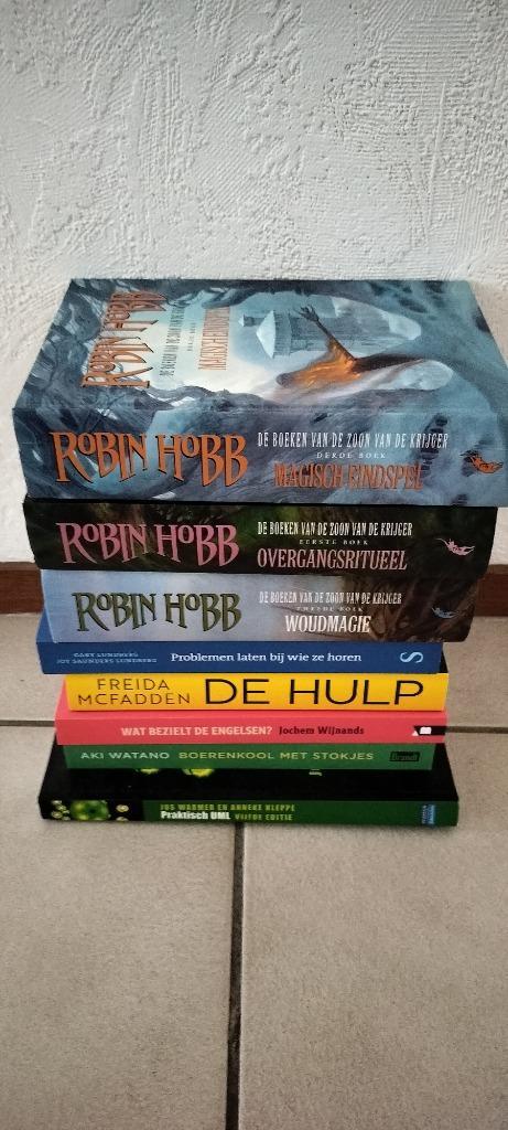 De hulp Wat bezielt de engelsen Boerenkool met stokjes, Boeken, Literatuur, Gelezen, Nederland, Ophalen of Verzenden