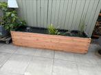 Vijver/planten/bomen bak, Tuin en Terras, Vijvers, Ophalen of Verzenden, Nieuw
