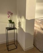 Vaas H&M home, Huis en Inrichting, Woonaccessoires | Vazen, Ophalen, Overige kleuren, Minder dan 50 cm, Glas