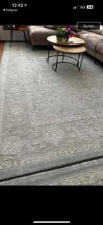 2 Grote vloerkleed 300x400, Huis en Inrichting, Stoffering | Tapijten en Kleden, Beige, Ophalen of Verzenden, Zo goed als nieuw