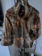 Nieuw kort jasje van bont Bleumarine Mt S, Kleding | Dames, Jassen | Winter, Bruin, Nieuw, Ophalen of Verzenden, Maat 36 (S)