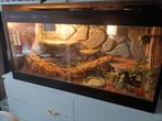 Te koop, Dieren en Toebehoren, Reptielen en Amfibieën | Toebehoren, Ophalen, Zo goed als nieuw