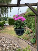 Hanging baskets/ hangmanden, Tuin en Terras, Ophalen, Gebruikt, 40 cm of meer, Rond