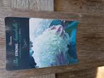 STRONG ANNABELLE HORTENSIAS STUNT €5,99, Vaste plant, Halfschaduw, Zomer, Ophalen