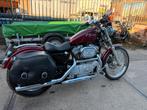 Harley Davidson sportster xl 883  bj 2002, Motoren, Motoren | Harley-Davidson, 2 cilinders, Chopper, 883 cc, Particulier