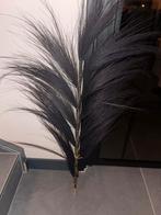 Zwart pluim, Ophalen, Zo goed als nieuw