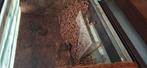 Driedelige terrarium, Dieren en Toebehoren, Reptielen en Amfibieën