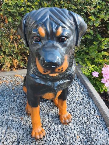 Rottweilers nu in de aanbieding beschikbaar voor biedingen