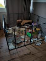 Grote puppy / konijnen ren (knaagdieren)8 panelen, Dieren en Toebehoren, Ophalen, Zo goed als nieuw, 110 cm of meer