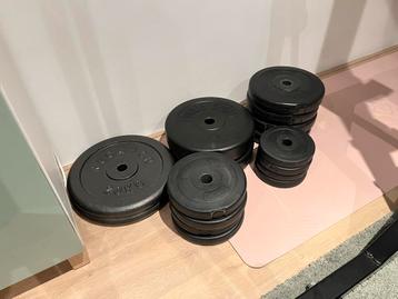 95kg Halterschijven - 30mm beschikbaar voor biedingen