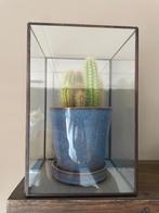 Blauwe bloempot + cactus + sierbak, Ophalen, Rond, Binnen, Zo goed als nieuw