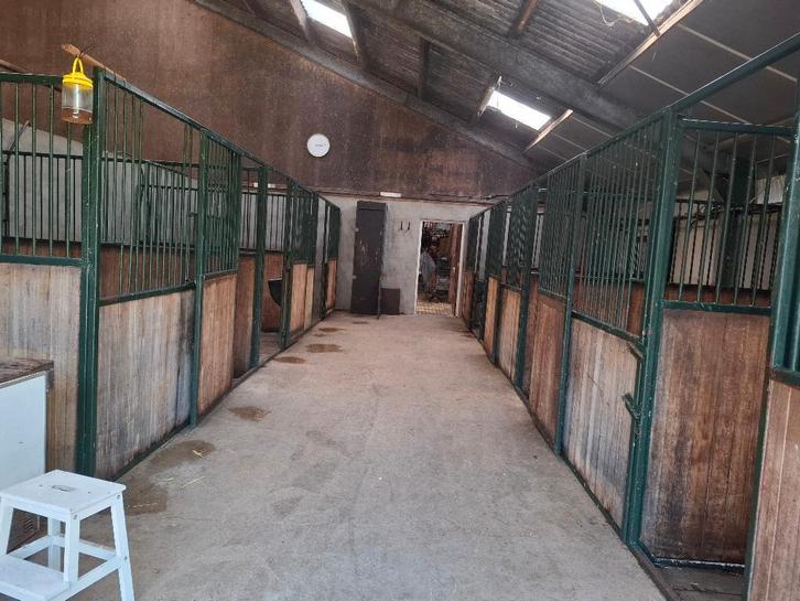 Binnenbox vrij, Dieren en Toebehoren, Stalling en Weidegang, Stalling