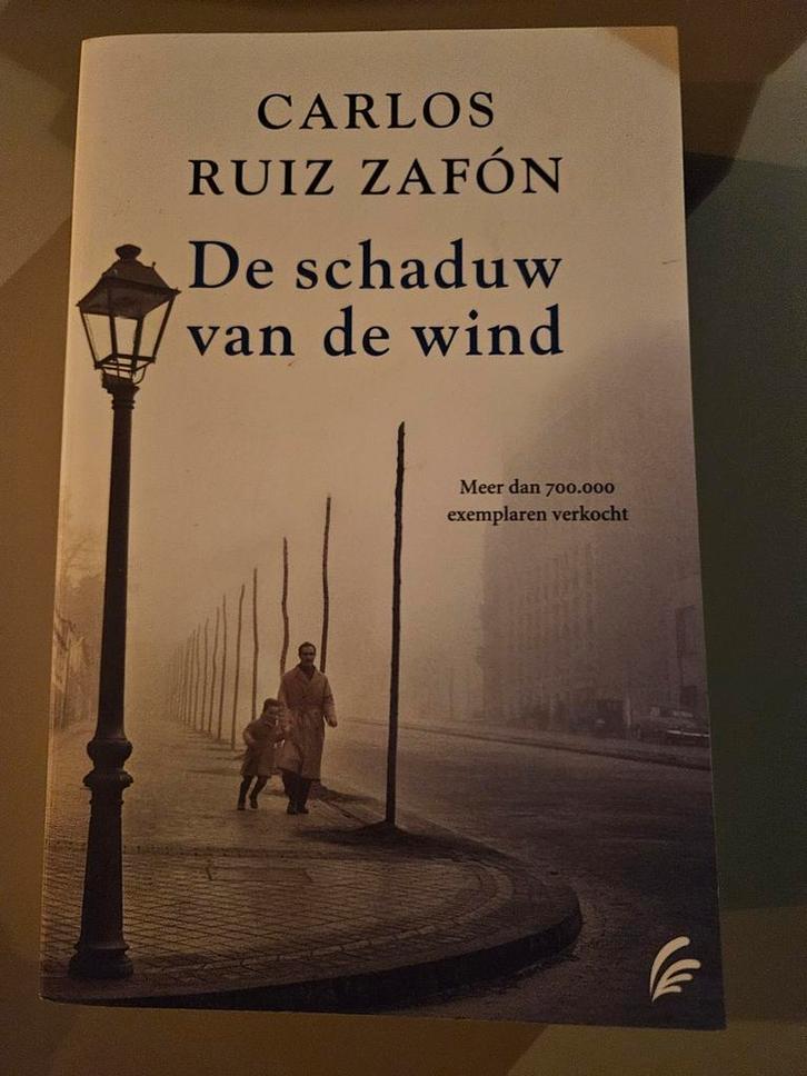 De schaduw van de wind - Carlos Ruiz Zafón, Boeken, Literatuur, Gelezen, Nederland, Ophalen of Verzenden