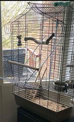 Mooie vogelkooi, Ophalen of Verzenden, Zo goed als nieuw, Metaal, Vogelkooi