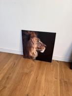 Leeuw Print op Canvas, Ophalen, Oorspronkelijke maker, Minder dan 50 cm, Print