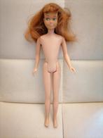 Vintage barbie poppen skipper, Ophalen of Verzenden, Gebruikt, Fashion Doll