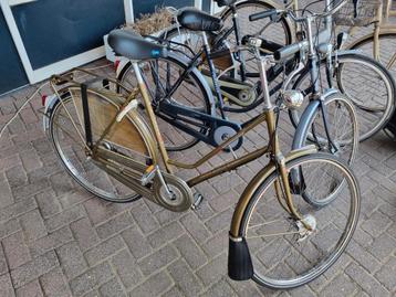 Gazelle damesfiets  beschikbaar voor biedingen