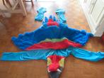carnaval kostuum papegaai, Ophalen of Verzenden, Zo goed als nieuw, Carnaval, Kleding