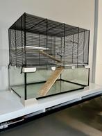 Ferplast karat 60 hamster hok, Dieren en Toebehoren, Kooi, Minder dan 75 cm, Minder dan 60 cm, Gebruikt