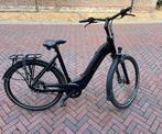 SPARTA c-Grid Ultra M7Tb Dames Dark Brownred Gloss 56cm 2023, Sparta, Gebruikt, -, - 0
-, NL