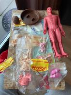 Zo werkt je lichaam Nr 1 tot 24 + pop met organen en botten, Boeken, Ophalen of Verzenden, Zo goed als nieuw, DeAgostini, Non-fictie