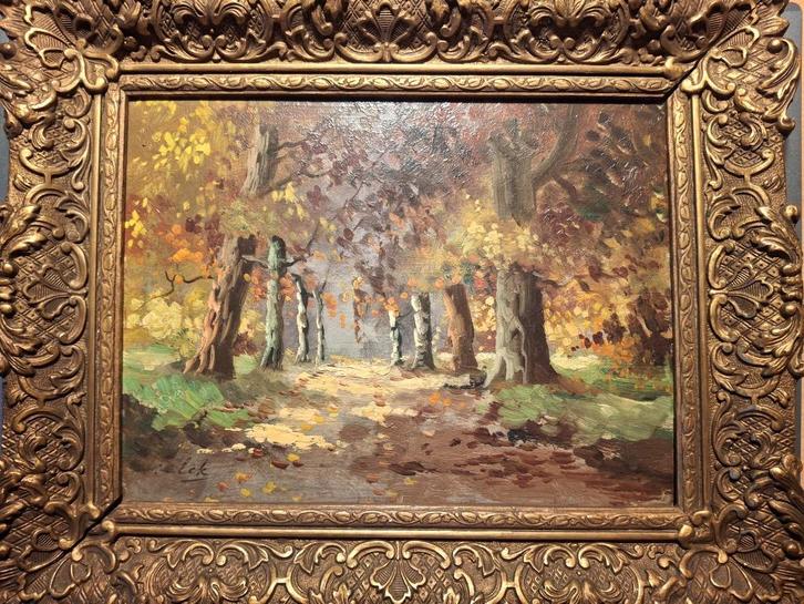 Oud schilderij op paneel: "bosperceel"  van A van Eck/Eek?, Antiek en Kunst, Kunst | Schilderijen | Klassiek, Ophalen of Verzenden