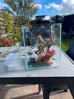Aquarium, Dieren en Toebehoren, Vissen | Aquaria en Toebehoren, Ophalen, Leeg aquarium