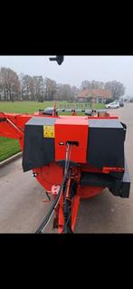 Stroblazer strohakselaar kühn, Dieren en Toebehoren